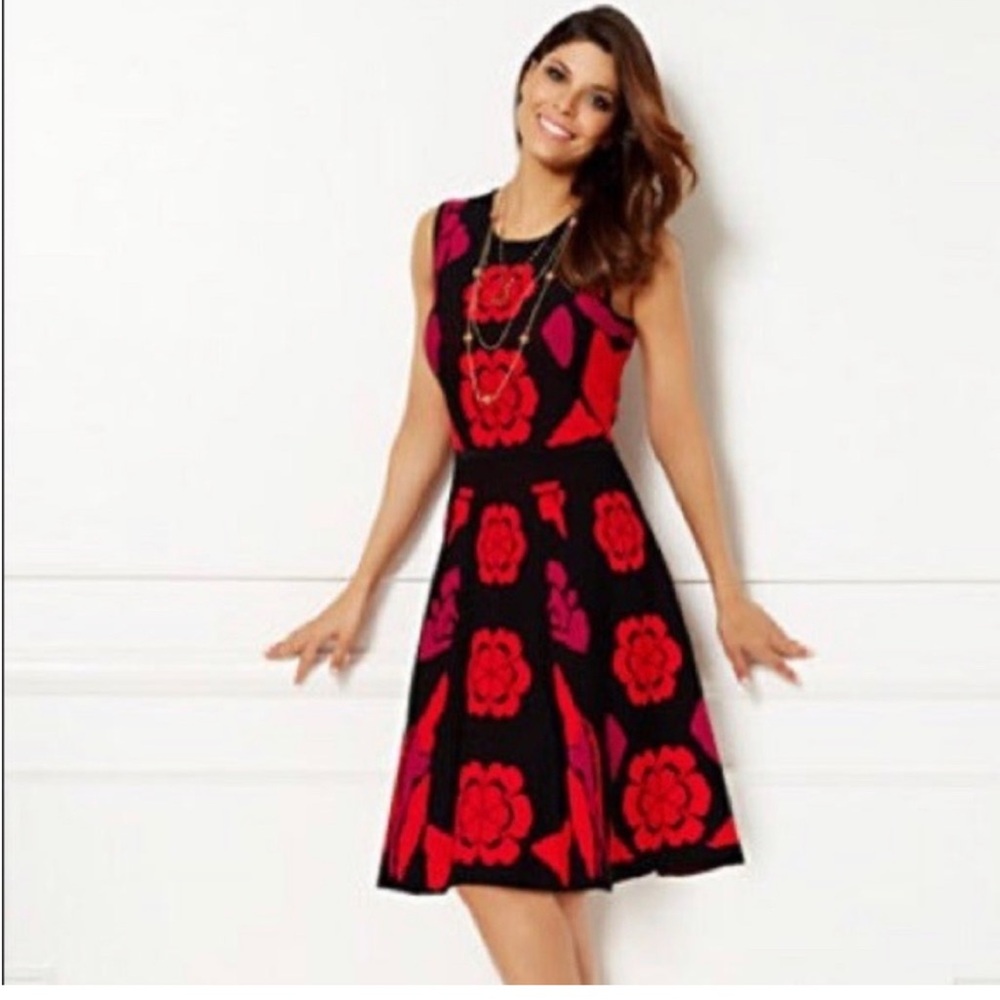 Eva Mendes New York & Company Dress